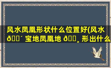 风水凤凰形状什么位置好(风水 🐴 宝地凤凰地 🕸 形出什么人)